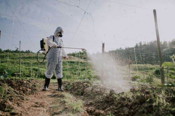 Best Mosquito Control Services  in Urbancrest, OH