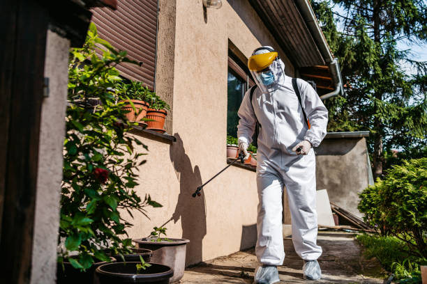 Best Local Pest Control Services  in Urbancrest, OH