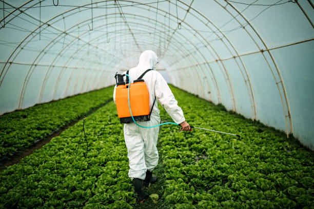 Pest Prevention Services in Urbancrest, OH