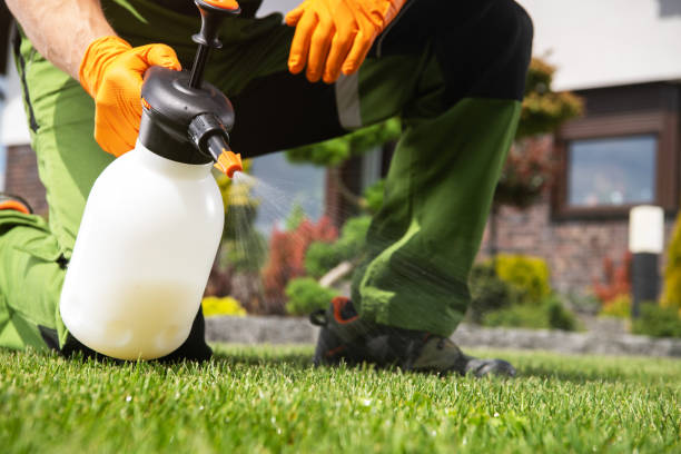 Best Best Pest Control Companies  in Urbancrest, OH