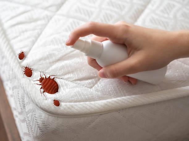 Best Emergency Pest Control  in Urbancrest, OH